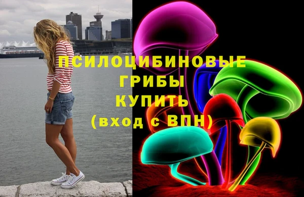 тгк Пересвет